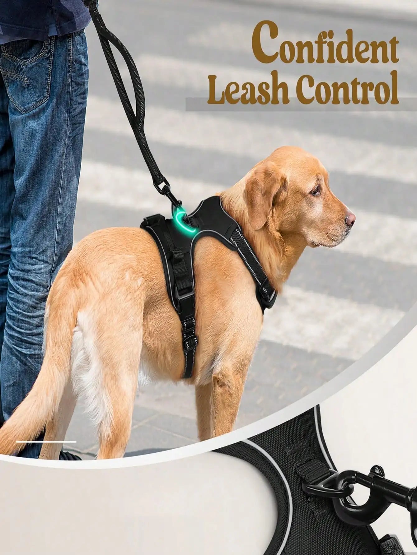Anti-Pull Dog Harness With Dual Leash Clips, Adjustable Soft Padded Reflective Oxford Vest (No Choking), Easy-Control Handle – Fits All Dog Sizes. Please Check Sizing Before Ordering! (Harness Only, Leash Sold Separately!!)