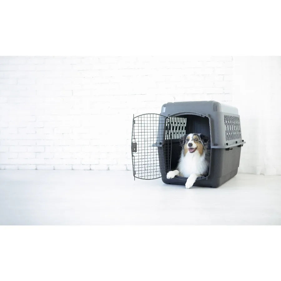 Portable Dog Kennel for Travel Fits Medium to Large Dogs 50-70 lb 36-Inch Secure and Comfortable Carrier for Car and Airplane