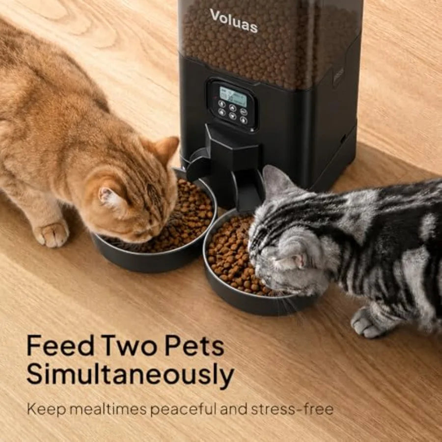 Automatic Cat Feeder for Two Cats, Double Pet Feeder with 2 Stainless Steel Bowls, Timed Cat Feeders with Memory Function
