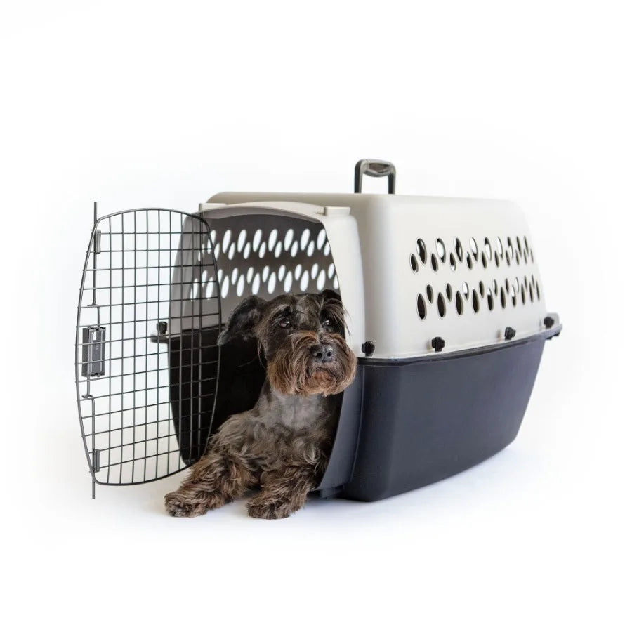 Compact Hard-Sided Pet Carrier for Small to Medium Pets with 25 lb Weight Limit - Ideal for Travel and Vet Visits