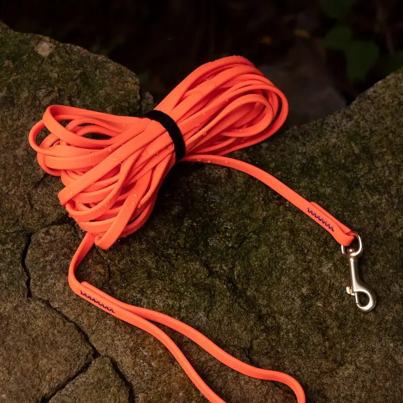PVC Waterproof Dog Leash For Training And Beach Use