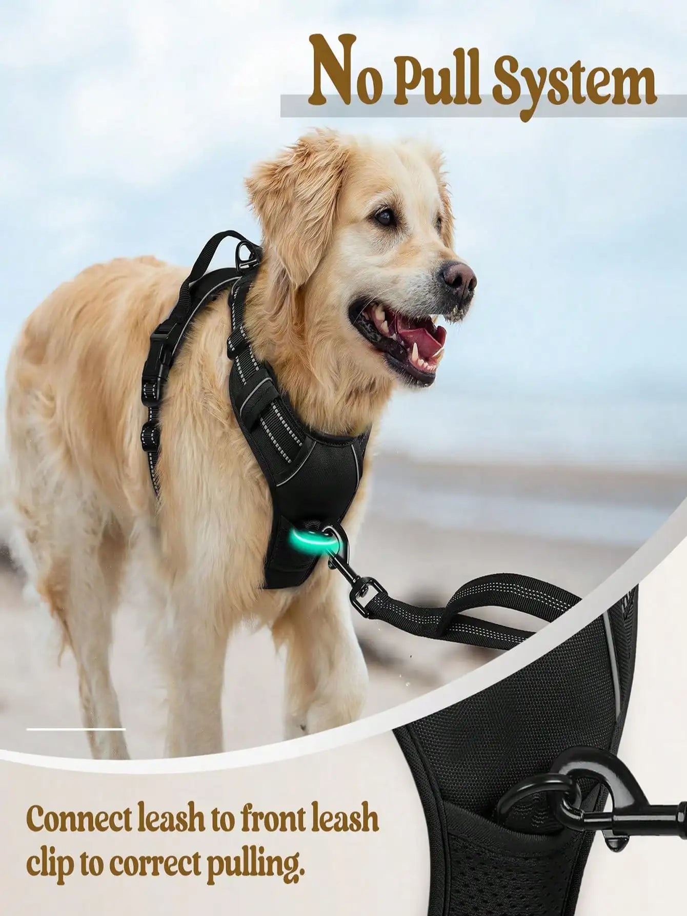 Anti-Pull Dog Harness With Dual Leash Clips, Adjustable Soft Padded Reflective Oxford Vest (No Choking), Easy-Control Handle – Fits All Dog Sizes. Please Check Sizing Before Ordering! (Harness Only, Leash Sold Separately!!)
