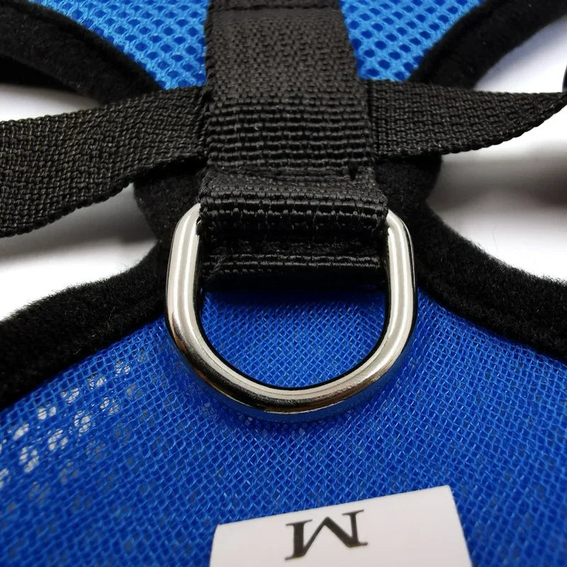 YTYINCN Adjustable Polyester Mesh Dog Harness Leash