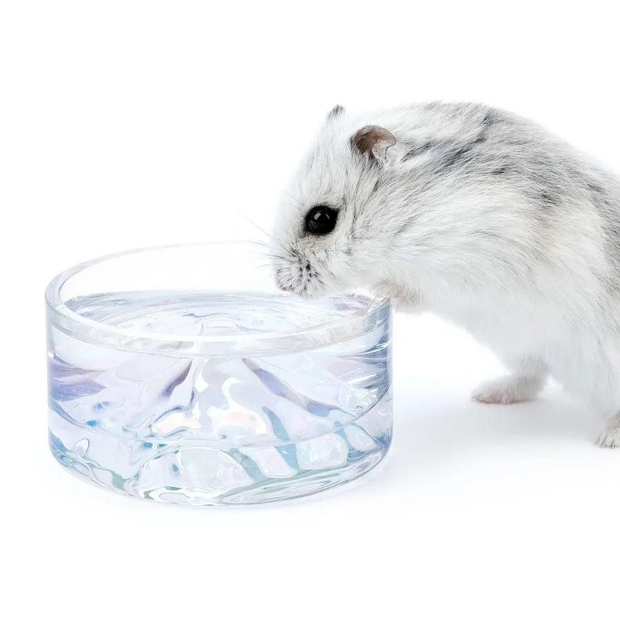 Hamster Feeding and Water Bowls- Mount Fuji Series Glass Drinking Bowls for Dwarf Syrian Hamsters Gerbils Mice Rats or Other Si