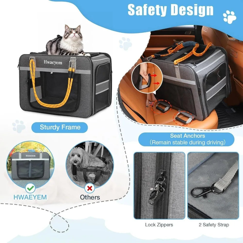 Pet Carrier With Wheels for Two Cats or Small Dogs