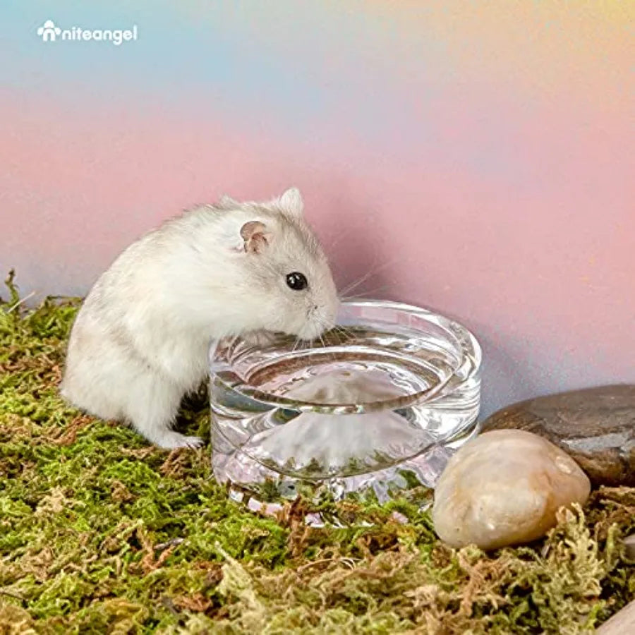 Hamster Feeding and Water Bowls- Mount Fuji Series Glass Drinking Bowls for Dwarf Syrian Hamsters Gerbils Mice Rats or Other Si