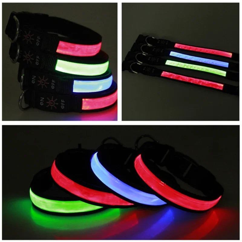 NONECN LED Glowing Dog Collar Adjustable USB Charging Nightlight