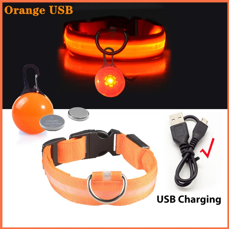 NONECN Usb Charging Glowing Dog Collar With Pendant Led Light