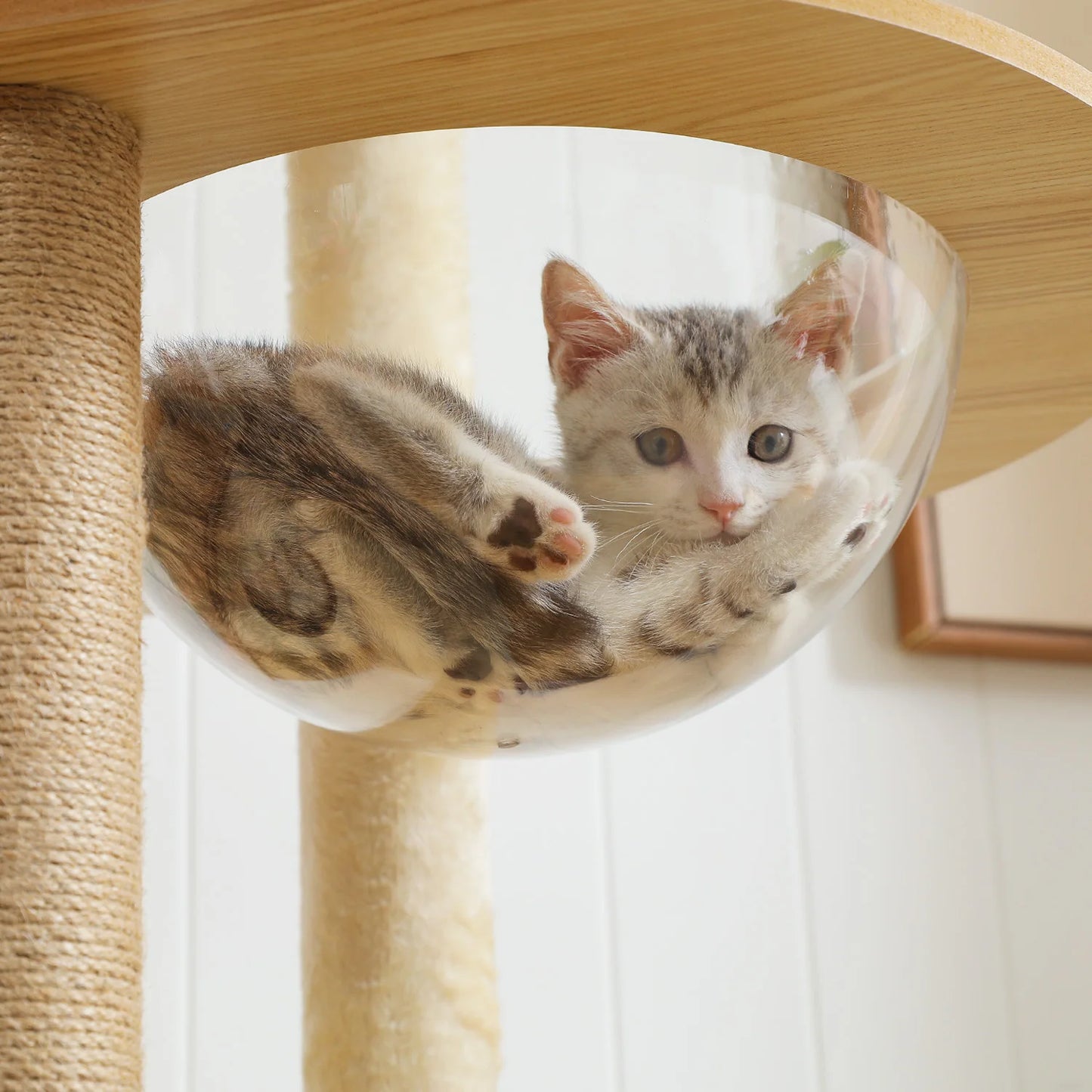 PAWZ Road Multi Level Cat Tree Indoor Wood Tower with Scratching Posts