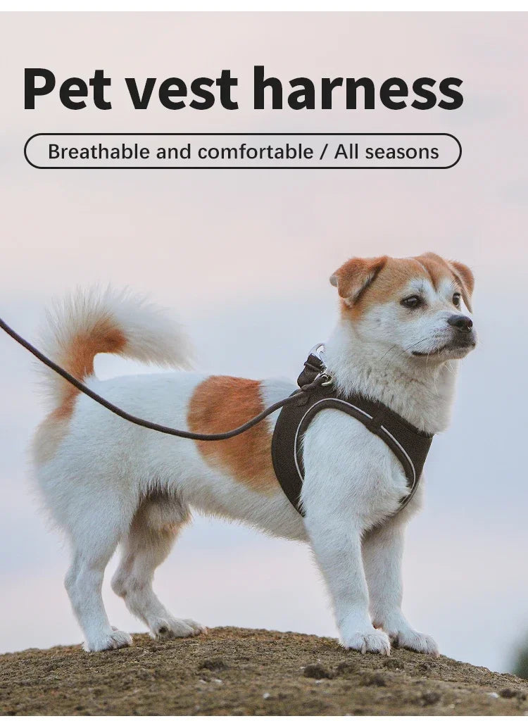 Adjustable Reflective Dog Harness And Leash Set For All Breeds