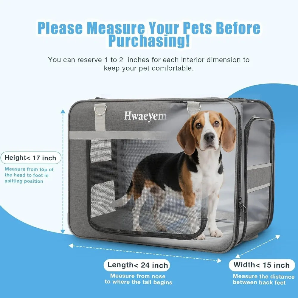 Pet Carrier With Wheels for Two Cats or Small Dogs