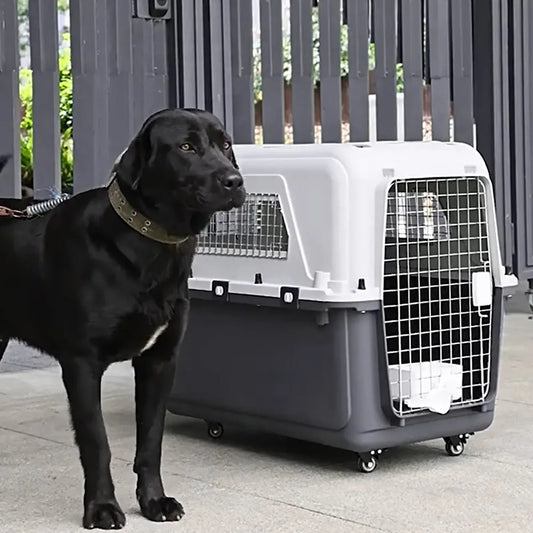 Cats Pet Travel Carrier Length 33in/Width 21.6in/Height 25.2in with Handle & Metal Door Pet Carrier & Crate for Puppies Kittens