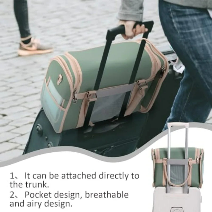 Luxury Mint Green PU Leather Pet Carrier Bag, Airline Compliant Portable Travel Crate with Breathable Mesh Panels and Shoulder
