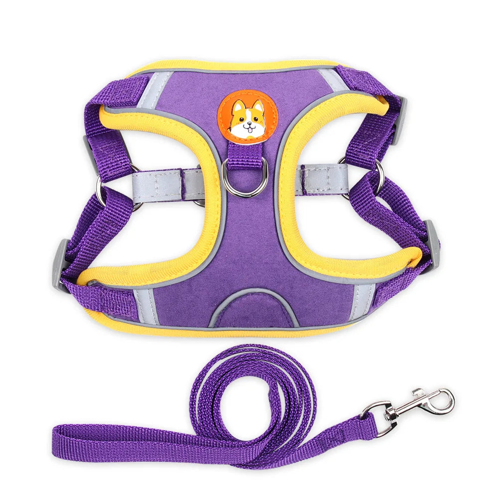 Reflective Dog Cat Harness Vest with Leash Breathable Mesh Padding Adjustable No Pull Pet Vest for Small Medium Dogs and Cats