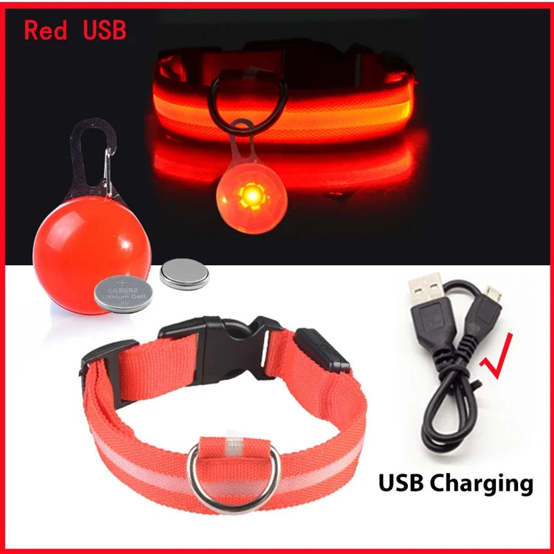NONECN Usb Charging Glowing Dog Collar With Pendant Led Light
