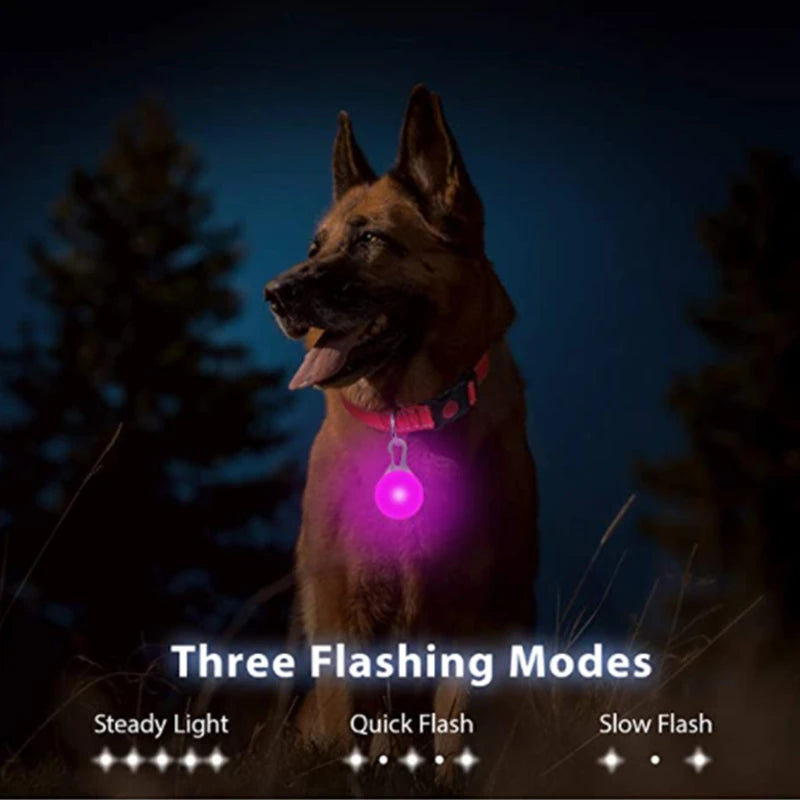 NONECN Usb Charging Glowing Dog Collar With Pendant Led Light