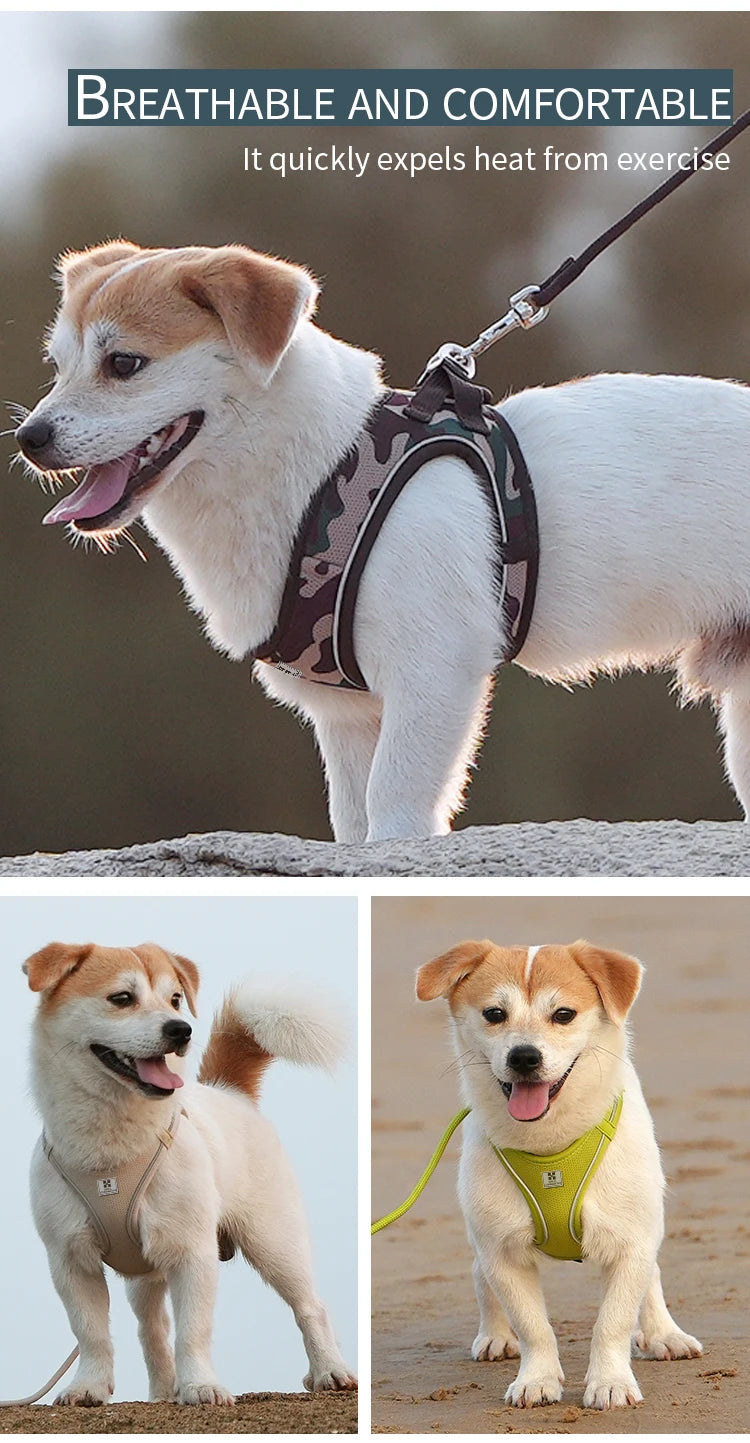 Adjustable Reflective Dog Harness And Leash Set For All Breeds