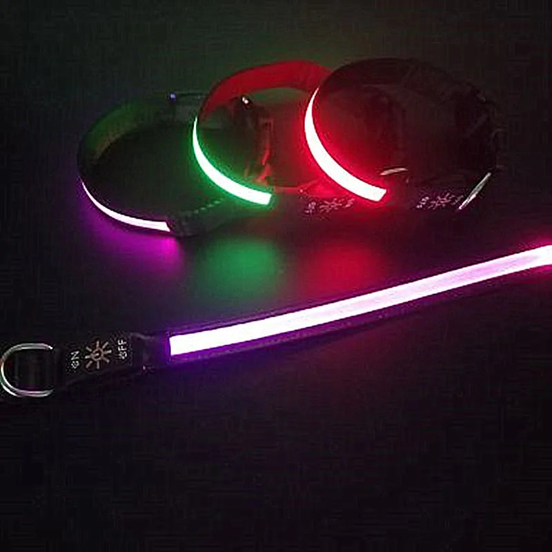 NONECN LED Glowing Dog Collar Adjustable USB Charging Nightlight