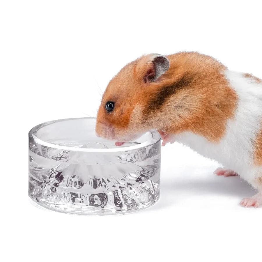 Hamster Feeding and Water Bowls- Mount Fuji Series Glass Drinking Bowls for Dwarf Syrian Hamsters Gerbils Mice Rats or Other Si