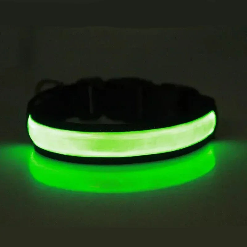 NONECN LED Glowing Dog Collar Adjustable USB Charging Nightlight
