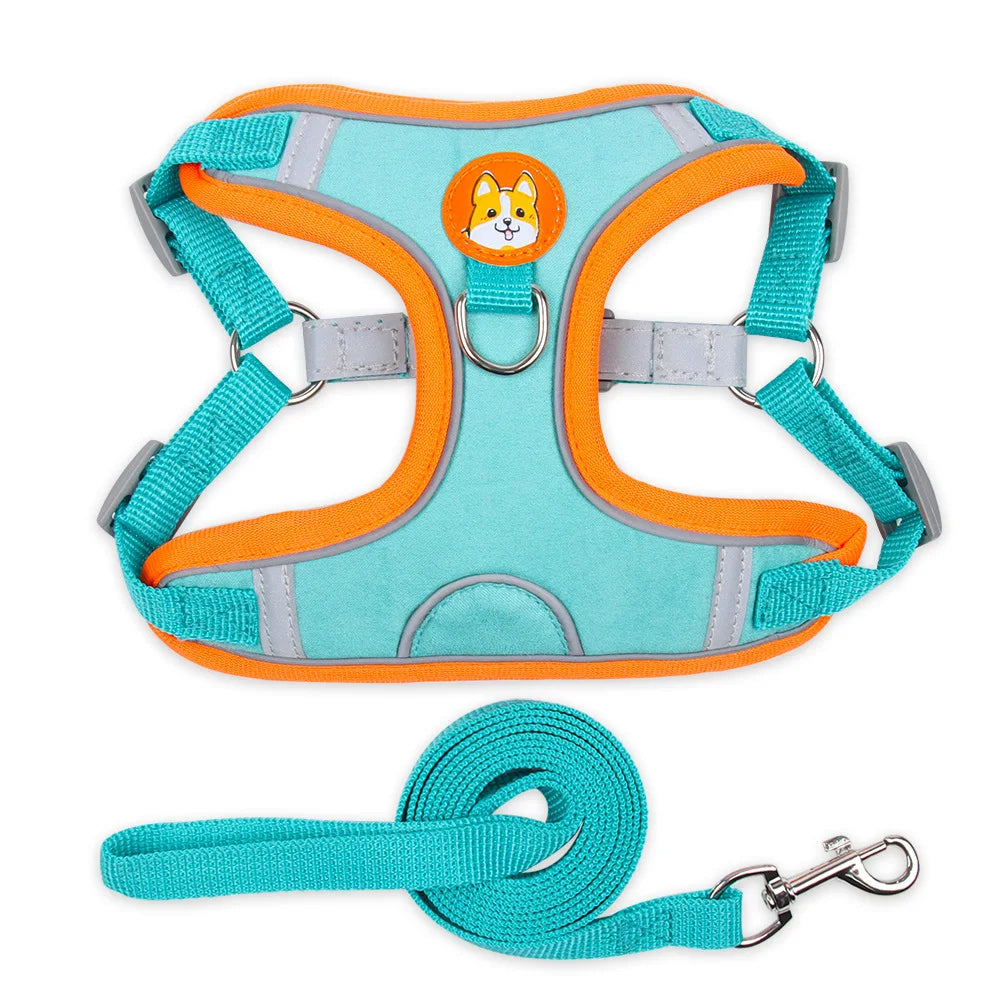 Reflective Dog Cat Harness Vest with Leash Breathable Mesh Padding Adjustable No Pull Pet Vest for Small Medium Dogs and Cats