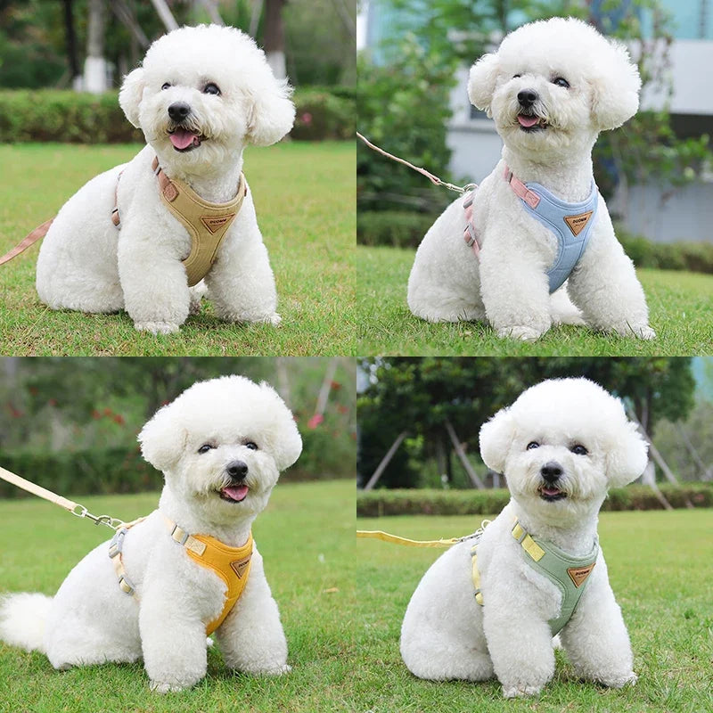 Puppy Harness and Leash Set, Breathable Pet Harness for Small and Medium-Sized Dogs and Cats, French Bulldog