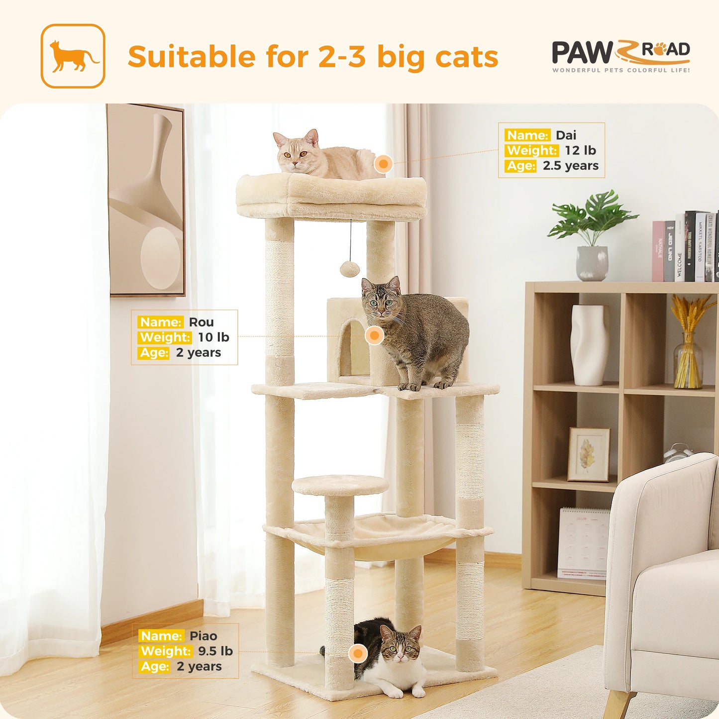 PAWZ Road 5-Level Cat Tree for Indoor Cats With Perch