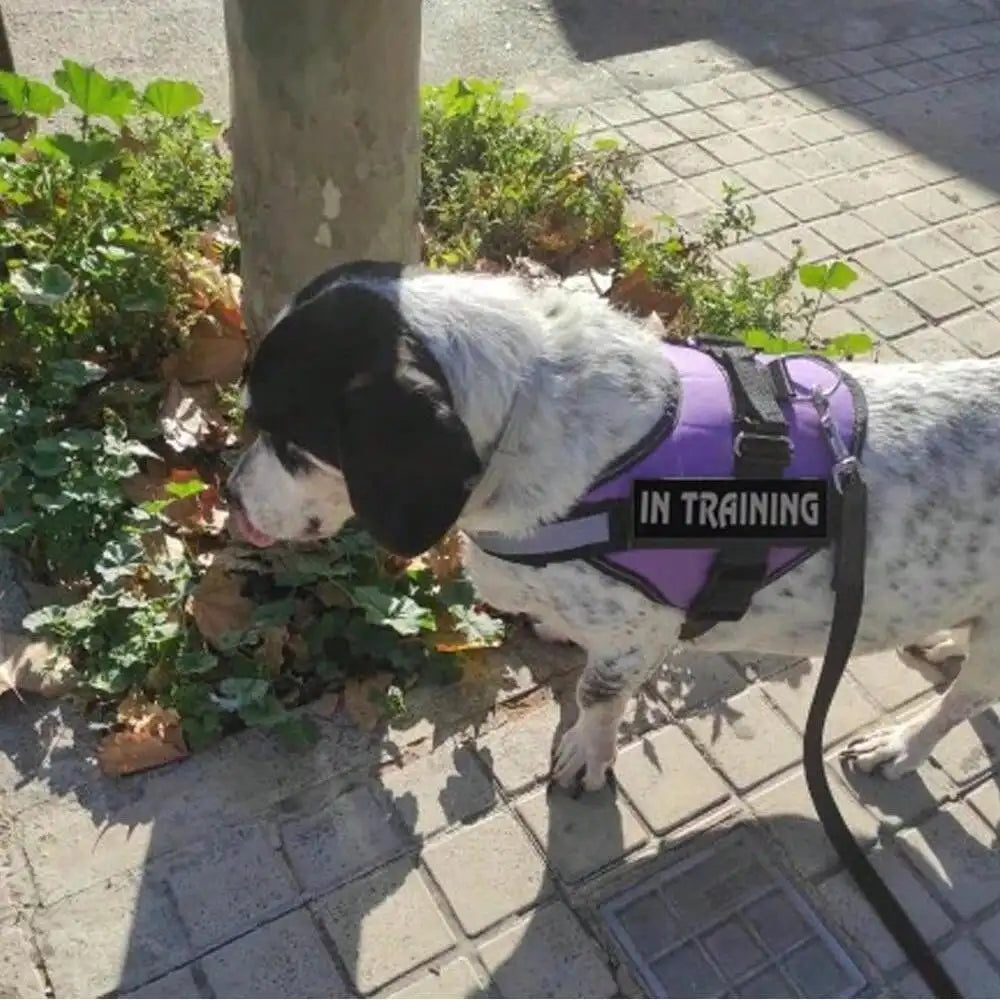 1pc Dog Harness NO PULL Reflective Pet Harness Vest With Easy-Control Handle, Comfortable And Safe Anti-Suffocation, Suitable For Walking And Training Of Medium Dogs And Large Dogs