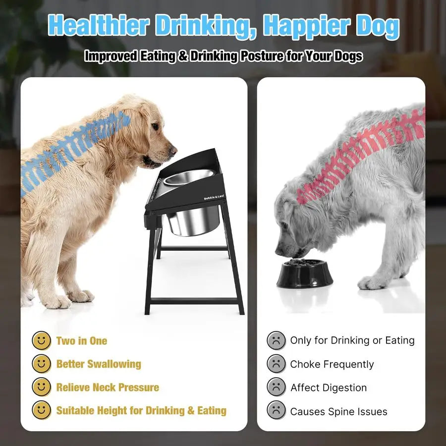 Tilted Elevated Dog Bowl Stand Stainless Steel For Large Breeds