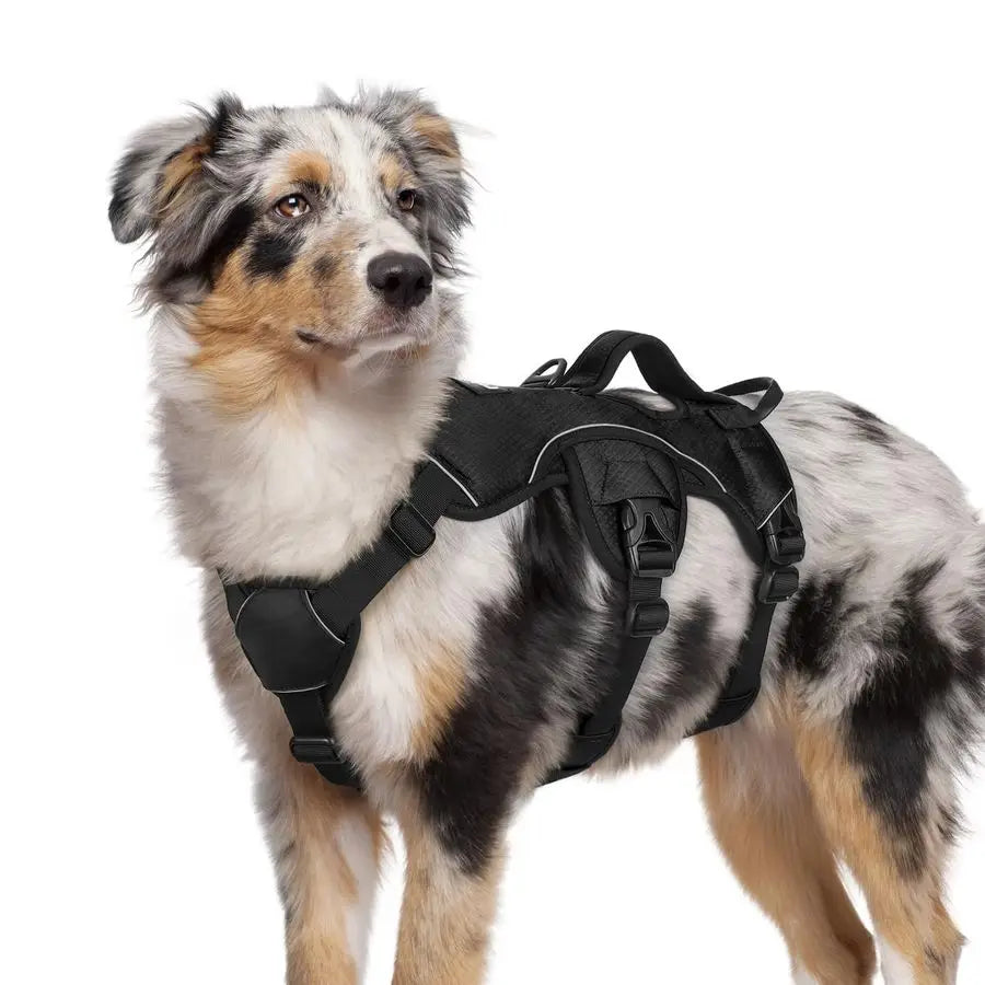 Escape Proof Dog Harness, Soft Padded Full Body Pet Harness, Reflective Adjustable No Pull Vest with Lift Handle and Leash Clip
