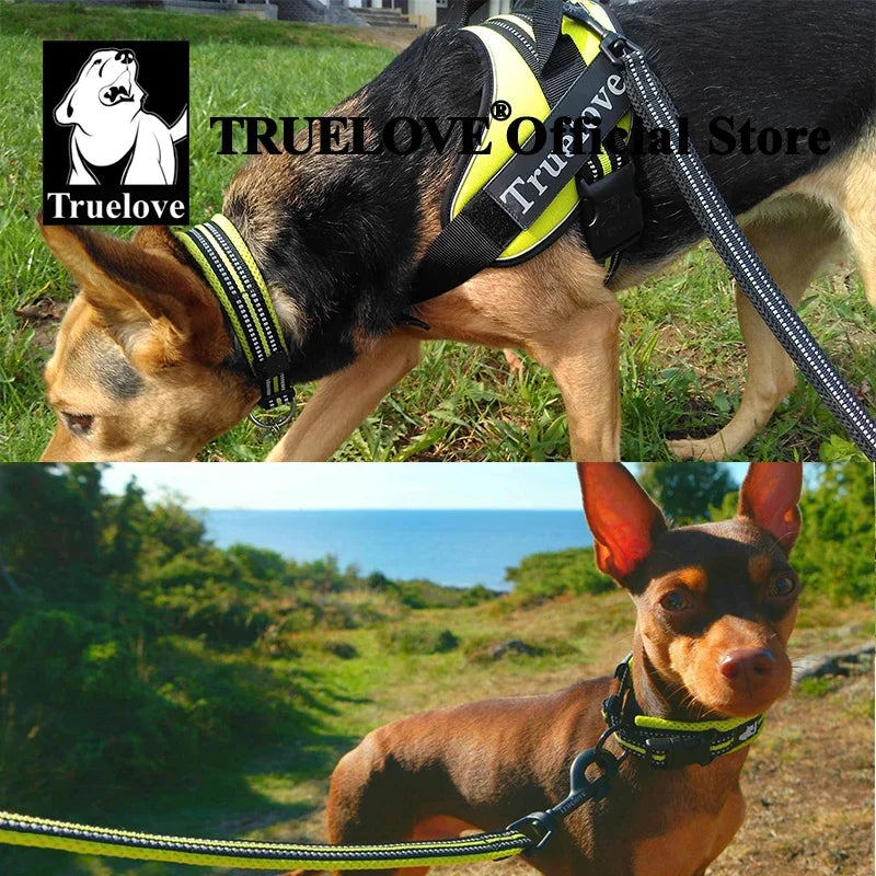 TRUELOVECN Truelove Nylon Adjustable Dog Collar Padded Reflective Heavy Duty