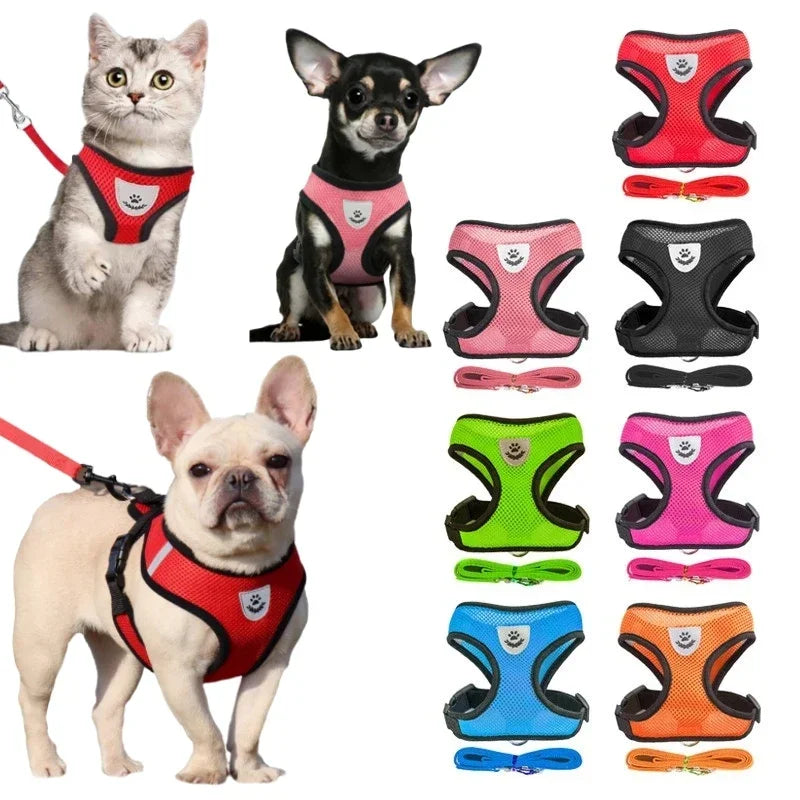 YTYINCN Adjustable Polyester Mesh Dog Harness Leash