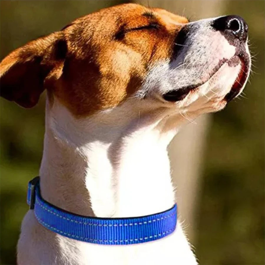 Reflective Dog Collar Soft Padded Breathable Safety Stripes Adjustable Cute Puppy Pet Necklace for Small Medium Large Dog